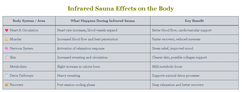 Infrared Sauna Effects on the Body