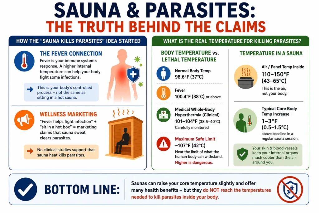 How the Sauna Kills Parasites Idea Started